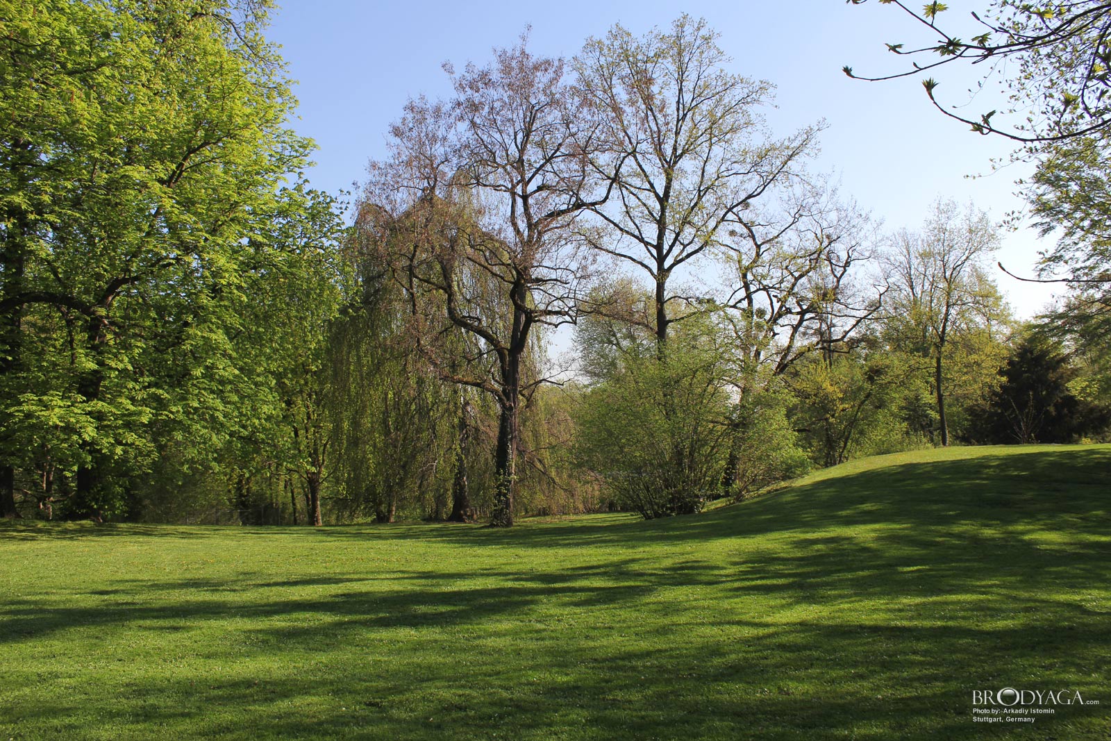 Villa Berg